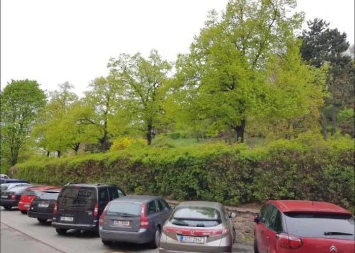 Key Pellicova * Brno